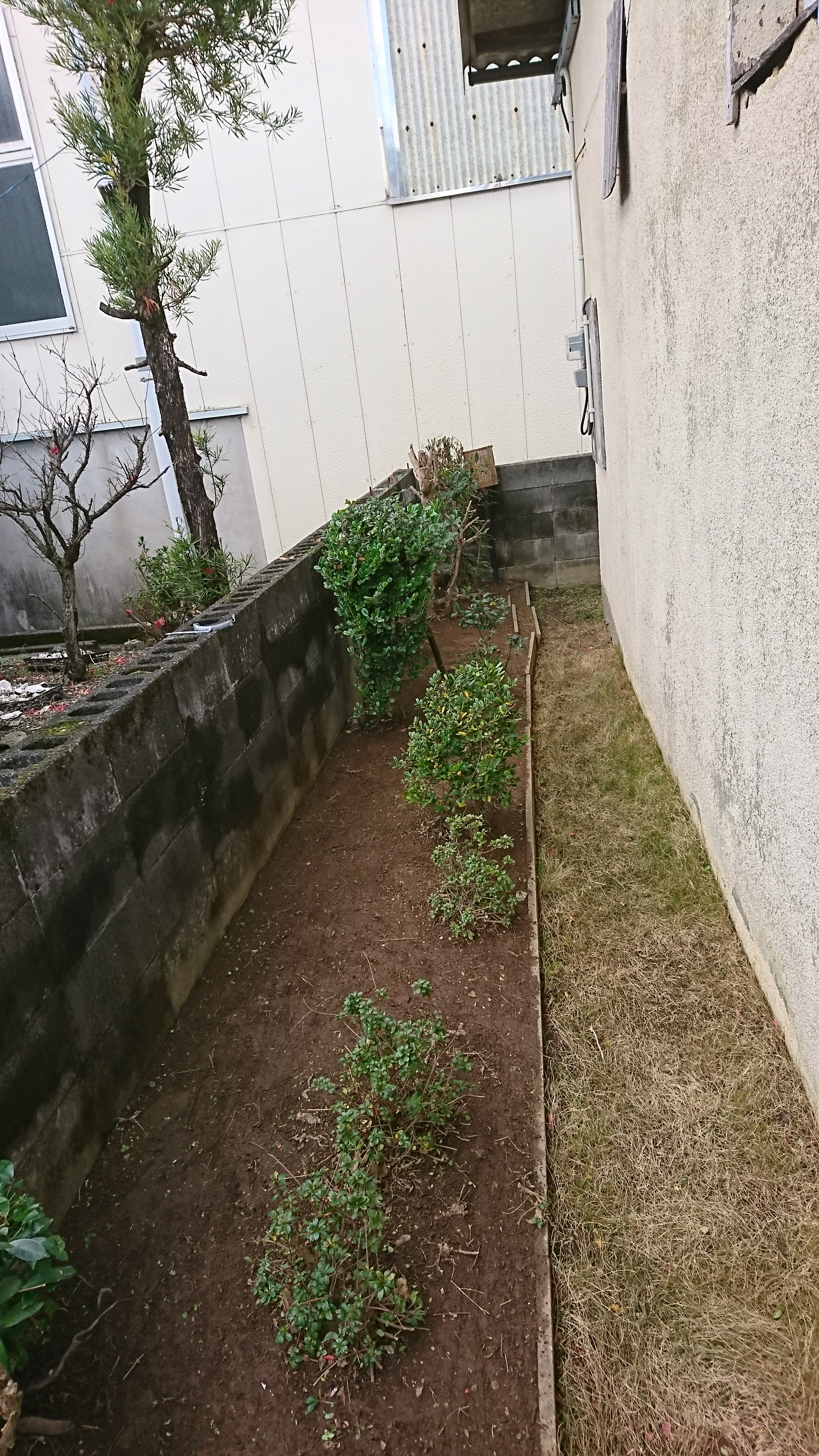 住宅の庭のお手入れ🌲✂️ 大川市の便利屋ベストクリーンサービス😊